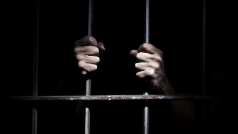 Владимирский облсуд отказал главному теневому банкиру страны в выходе из колонии