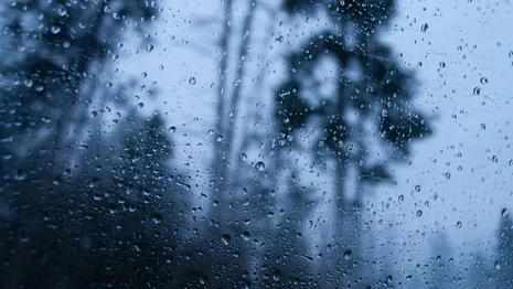 Синоптики назвали даты сильных дождей в апреле во Владимирской области
