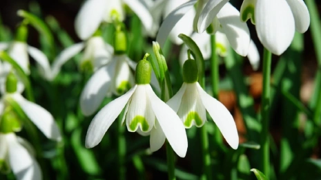 Во Владимирскую область в выходные придет океаническое тепло