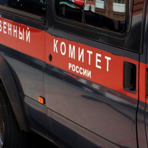 Силовики установили личность взорвавшего гранату в александровском парке