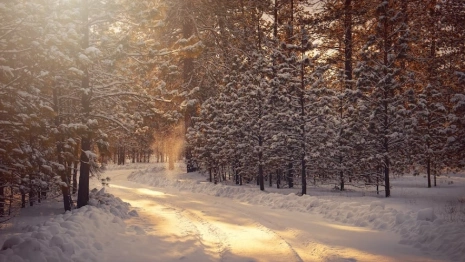Стало известно, когда улучшится погода во Владимирской области
