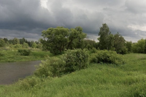 Большая часть Киржача осталась без света после ливня и грозы