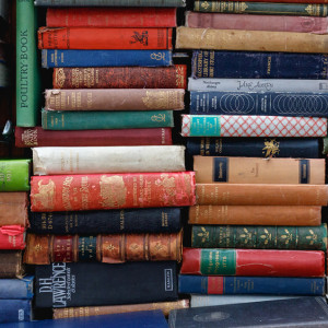 Владимирская студентка выиграла в федеральном конкурсе миллион рублей