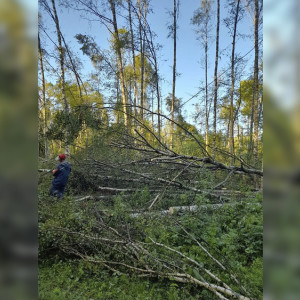 Свет вернули в 95% обесточенных из-за стихии домов во Владимирской области