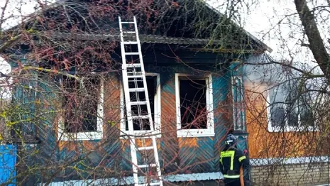 Во Владимирской области на пожаре пострадали два человека 