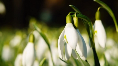 Перерасчет коммуналки и ПДД для самокатов. Что изменится в жизни владимирцев в марте