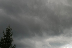 Прогноз погоды во Владимире и области на 31 июля