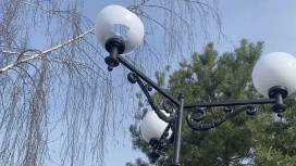 Во Владимире разбившими 17 фонарей на Георгиевской вандалами оказались двое детей