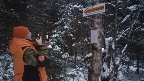 В лесах Владимирской области появятся стрелки-указатели для потеряшек