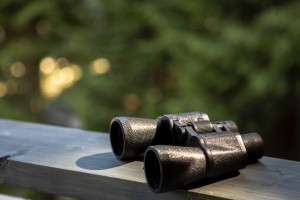 Житель Владимирской области пытался незаконно отправить военную технику за границу