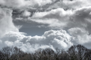 МЧС Владимирской области разослало экстренное предупреждение о грозе и ливне