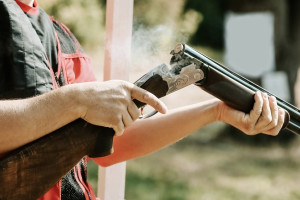 Житель Кольчугинского района незаконно застрелил лося