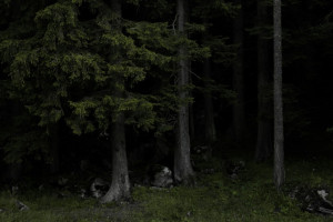 Пропавшего в Камешковском районе 66-летнего мужчину в резиновых сапогах нашли мертвым