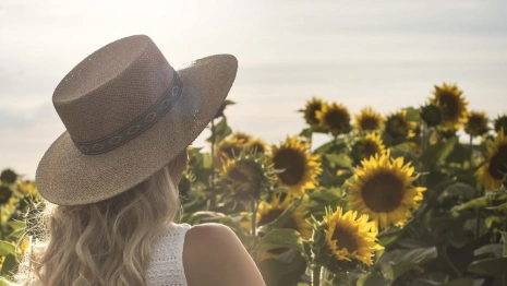 Синоптики пообещали возвращение 30-градусной жары во Владимирскую область