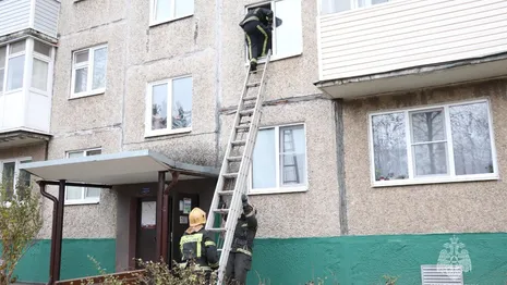 Во Владимире 73-летнюю бабушку остановили от прыжка из окна