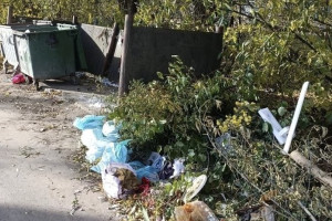 Юрьев-Польский снова завалили мусором