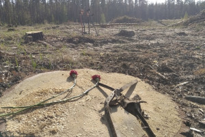 Во Владимирской области начался подъем советского истребителя с 8-метровой глубины