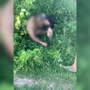 Во Владимире мигрант приставал к женщине и ребенку на пляже