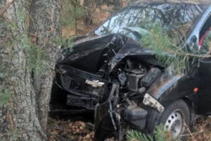 В Камешковском районе 73-летний водитель на Chevrolet въехал в дерево