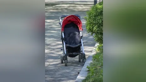 Во Владимире на зебре сбили двух девочек и коляску с 1,5-годовалым малышом