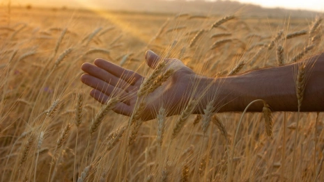 Власти рассказали о росте цен на хлеб в 2023 году