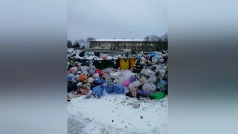 Жители Владимирской области пожаловались на заваленные мусором дворы