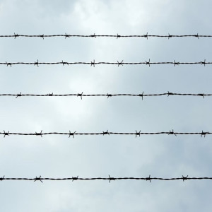 Во Владимире пьяного водителя на 2,5 года отправили в колонию-поселение