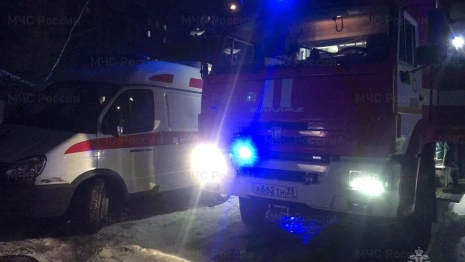 На пожаре в Муроме спасли двух человек