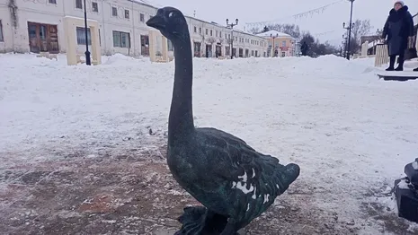 В центре Юрьев-Польского установили скульптуру гуся