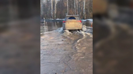 Во владимирской деревне из-за половодья затопило дорогу и жилые дома