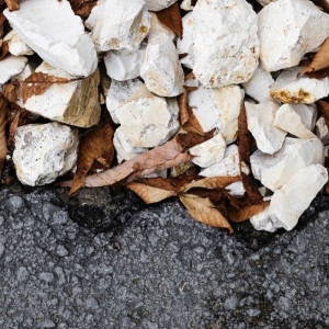 Бастрыкин заинтересовался ситуацией с бездорожьем в Кольчугино