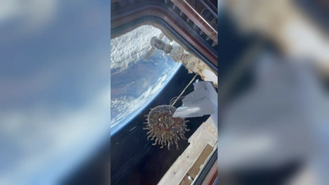 В космосе показали ювелирные изделия из Покрова