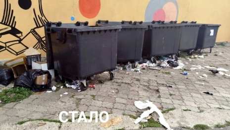 Во Владимире стихийная свалка со Спасской переехала к книжному магазину