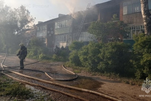 Мощный пожар под Владимиром потушили за 3 часа
