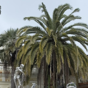 Во Владимирской области подорожали заграничные туры и медицинские услуги