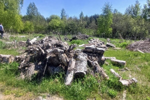 В селе под Суздалем нашли 4 огромные свалки