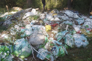 Владимирское министерство лесхоза через суд заставили очистить лес в Коврове от мусора