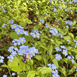 Прогноз погоды во Владимирской области на 29 июля 2025 года