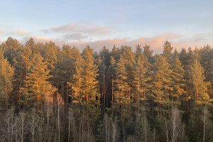 Синоптики назвали самые холодные дни в сентябре во Владимирской области