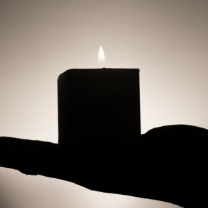 Во Владимирской области открыли стенды в память о погибших на Украине 11 бойцах