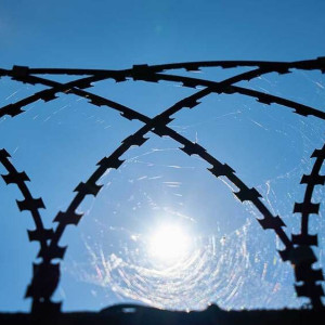 Алексея Навального перевели из Покрова в колонию строгого режима