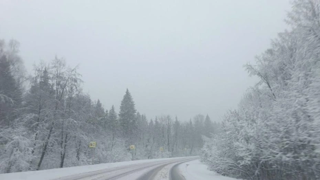 Владимирскую область начало засыпать снегом вслед за Москвой
