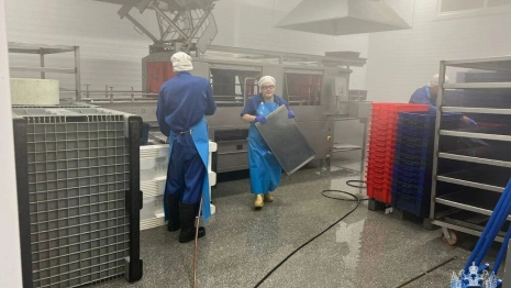 Во Владимире закрыли рыбное производство из-за сильного запаха