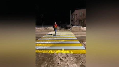 В райцентре Владимирской области появилась первая проекционная зебра