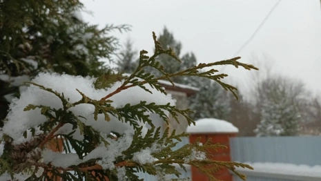 Прогноз погоды во Владимире и области на 7 декабря