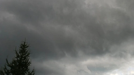 Прогноз погоды во Владимире и области на 31 июля