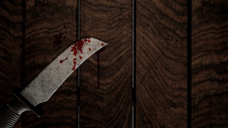 Житель Владимира вонзил нож в грудь возлюбленного матери за нецензурную брань