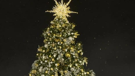 Эксперты выяснили, куда россияне поедут отдыхать на Новый год