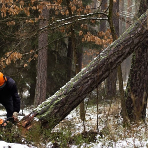 Во Владимирской области халатность чиновника обернулась ущербом детсадам в 1,7 млн рублей