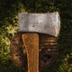В Судогде под суд пойдет срубивший 33 дерева «черный лесоруб»